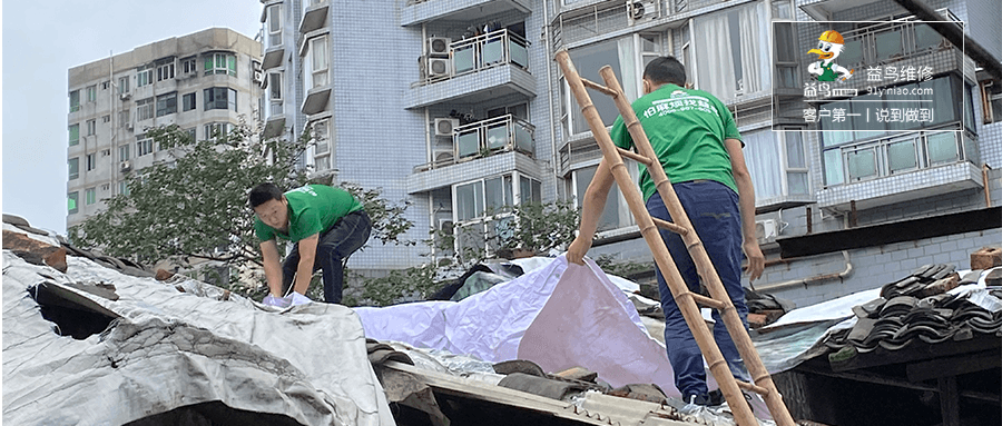 益鸟公益丨太古里旁边的老破小屋顶维修 看完想哭o(╥﹏╥)o
